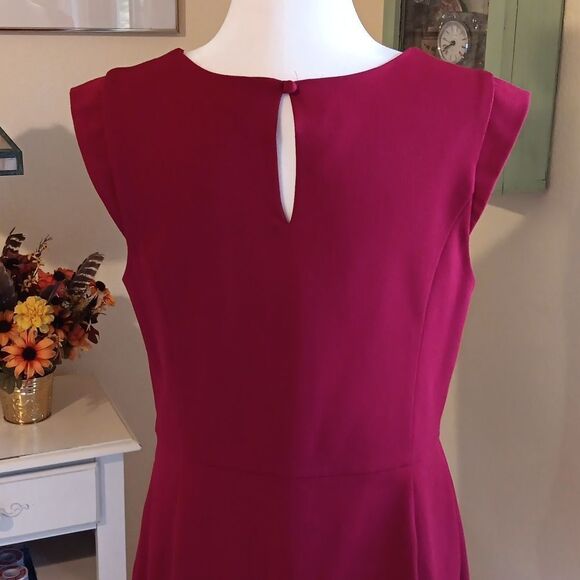 Express Perfect Red Dress, Tomato Girl, Career Professional,  Coastal  Grandma - Picture 7 of 11